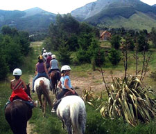 New Zealand-South Island-Alpine Pacific Triangle Ride